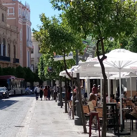Daire Centro